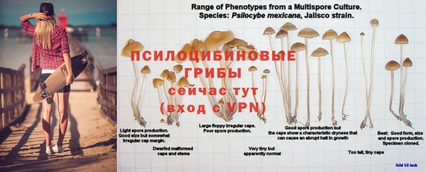 первитин Абинск