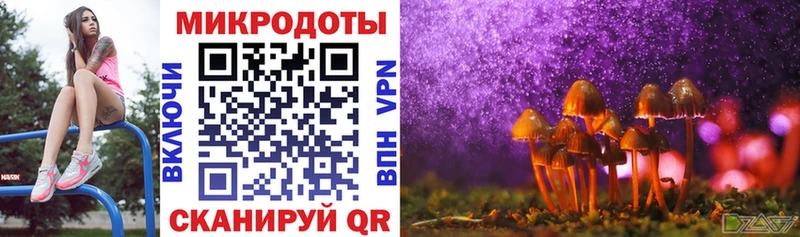 площадка клад  Цоци-Юрт  Галлюциногенные грибы Magic Shrooms  наркотики 